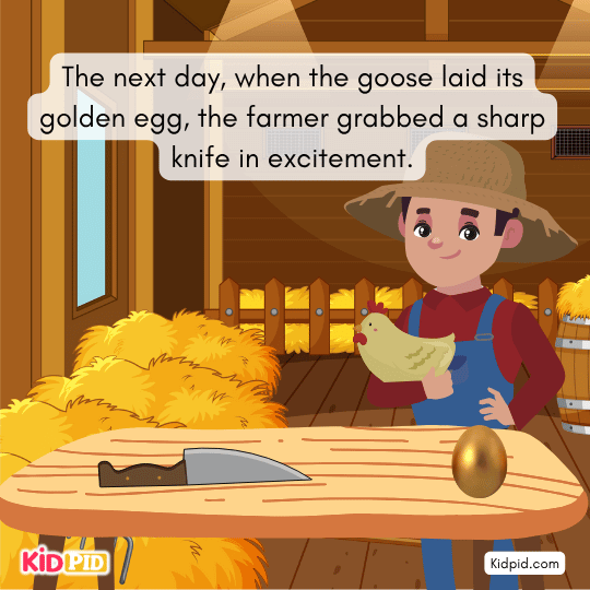 Next day, farmer grabs a sharp knife when the goose lays its golden egg.