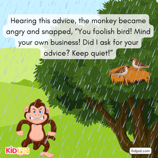 Monkey angrily thinks about punishing the sparrow for advising him.