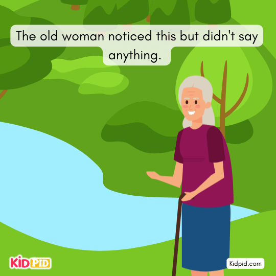 The old woman noticed this but didn't say anything - old lady based story for kids