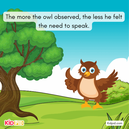 The more the owl observes, the less he speaks, choosing silence and reflection to gain wisdom.