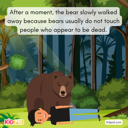 The bear walks away because bears usually avoid touching dead bodies.