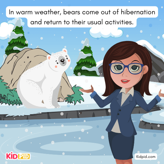 Bears waking up after hibernation as spring arrives — seasonal behavior explained for kids.