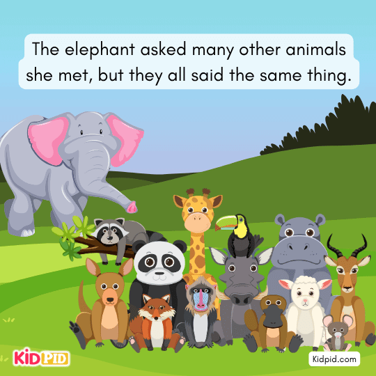 Elephant asks many animals, but all reject her because of her size.