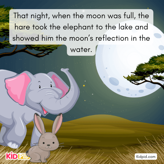 Hare showing the elephant the full moon’s reflection in the lake at night in a children’s forest fable.