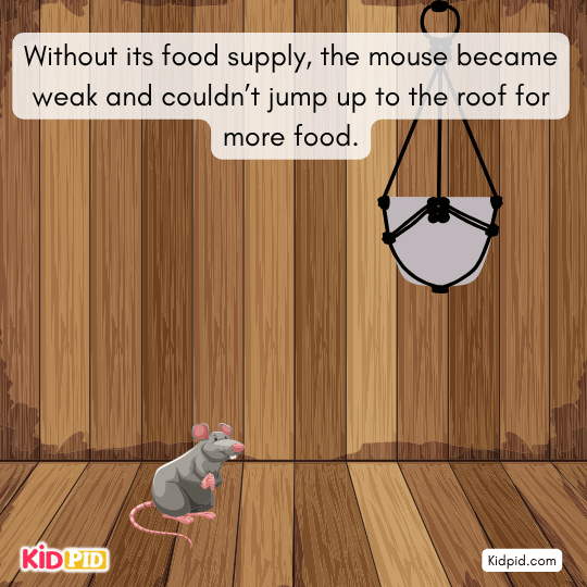 Hermit destroying the mouse’s food stash, weakening the mouse and stopping its mischief.