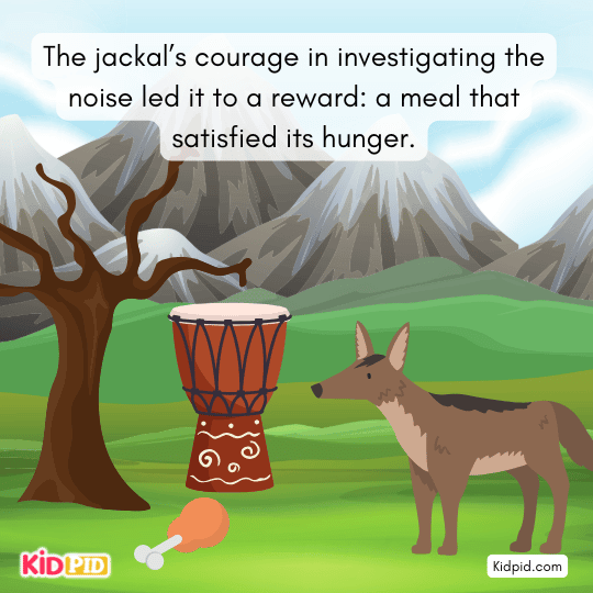 Jackal finds food near the drum, rewarded for its courage and curiosity in exploring the truth.