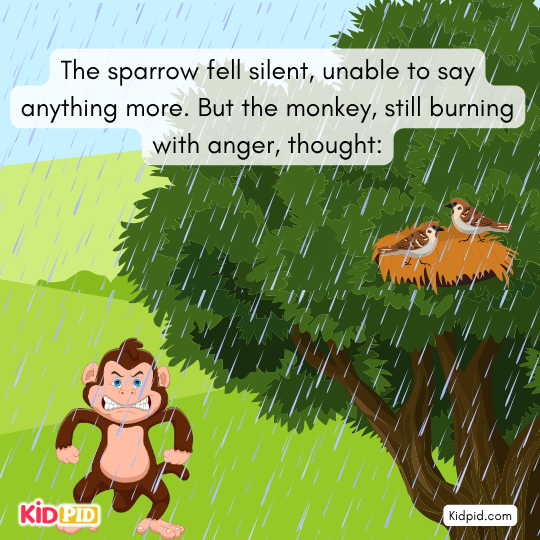 Monkey climbs the tree intending to show his power over the tiny sparrows.