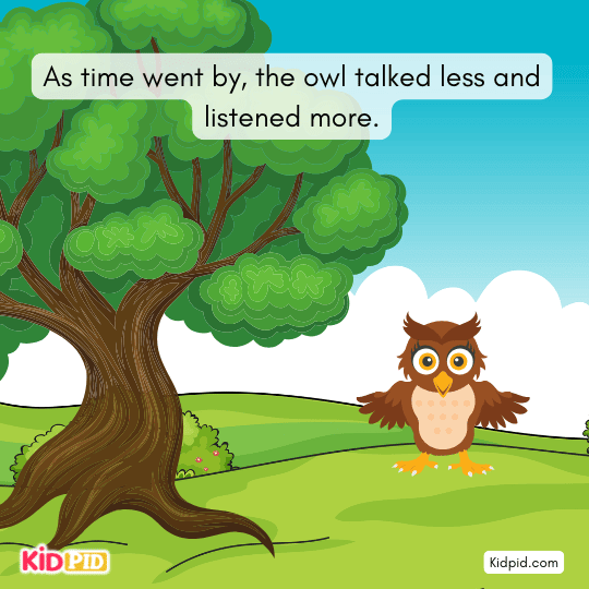 The owl talks less and listens more over time, learning patience, wisdom, and understanding.