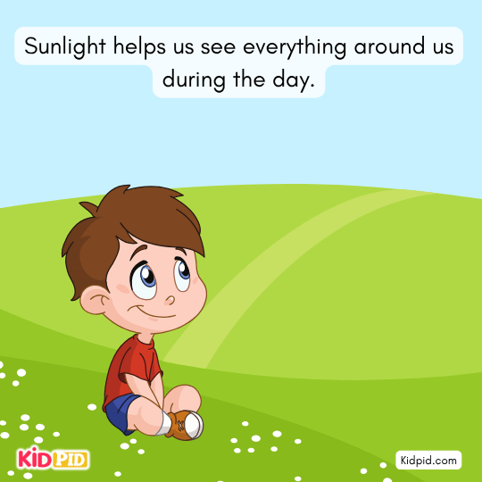 Children observing how sunlight helps us see everything during the day – concept of daylight and visibility for students 