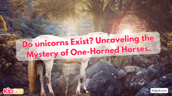 Are unicorns real? The mystery of one-horned horses explored.