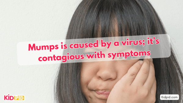 Mumps is caused by a virus; it’s contagious with symptoms