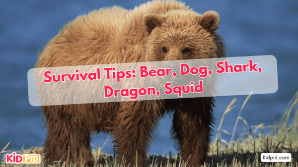 Survival Tips for Bear, Dog, Shark, Komodo Dragon, Giant Squid