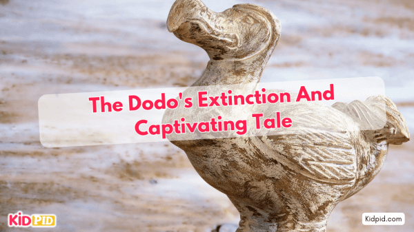 The mysterious extinction of dodo birds and their fascinating story.