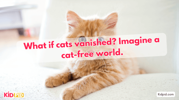 What If Cats Disappeared? Imagining a Cat-Free World