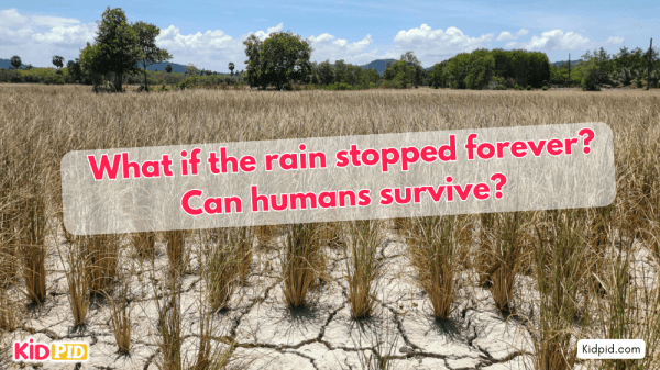 What If It Stopped Raining? Human Survival Without Water