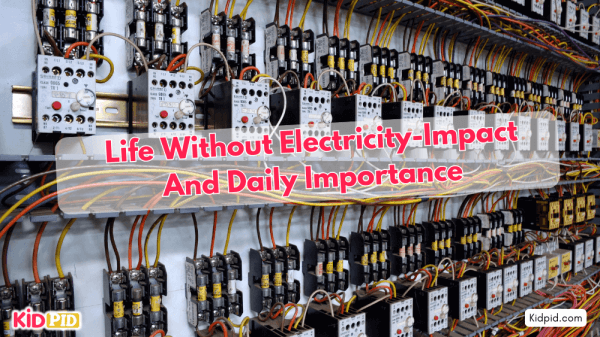 What If Electricity Was Never Discovered? Importance Explained