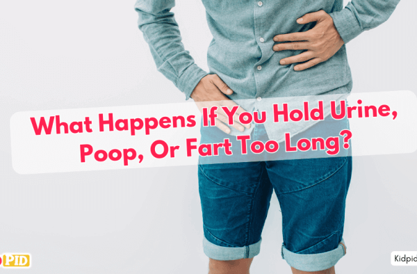 What happens if you hold urine, poop, or fart too long?