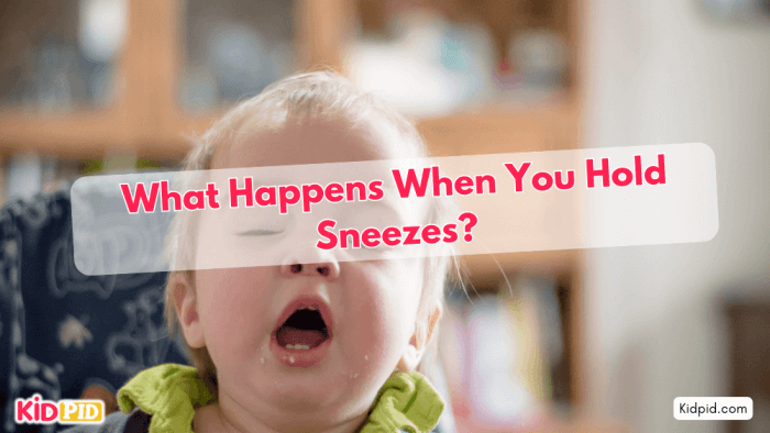 What Happens Holding Sneezes? Is Sneezing Harmful?