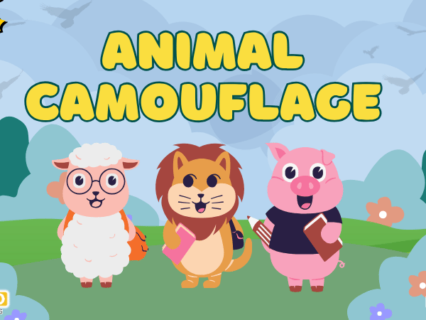 animal camouflage-moral book story
