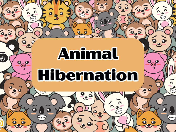 Animal hibernation science book