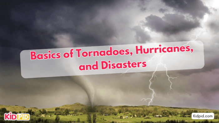 Basics of Storms: Tornadoes, Hurricanes, and Disasters.