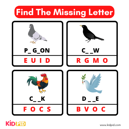 Find The Missing Alphabet 11