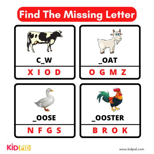 Find The Missing Alphabet 24