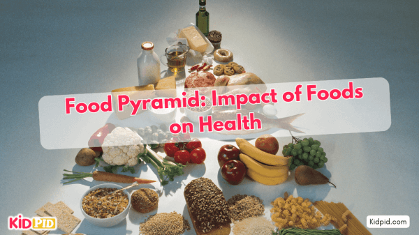 The Food Pyramid: How Various Foods Affect Your Body’s Health