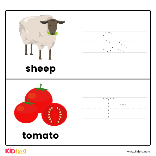 Ss & Tt - Trace Letters Workbook