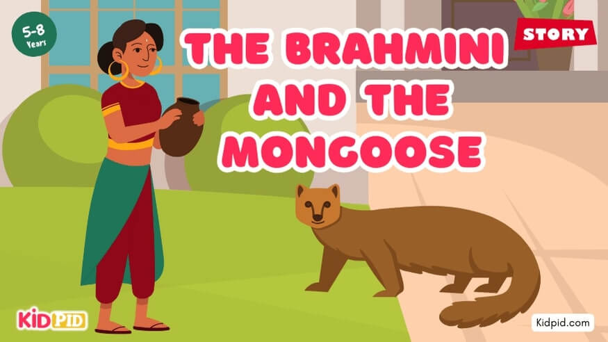 The Brahmini and the Mongoose – Moral Story for Kids