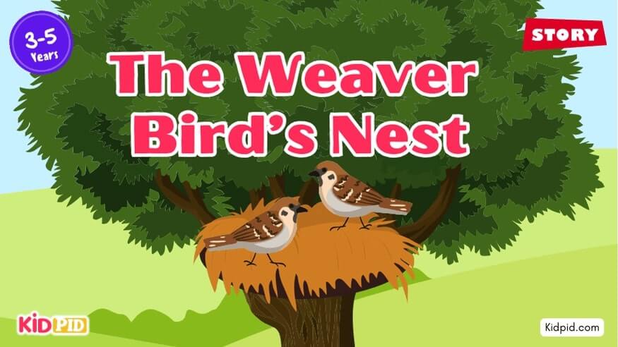 The Weaver Bird’s Nest - Moral Story for Kids