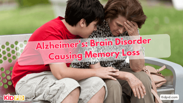 What Is Alzheimer's Disease? A Brain Disorder