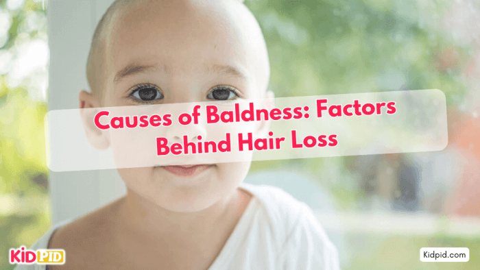 Causes and Factors Behind Hair Loss