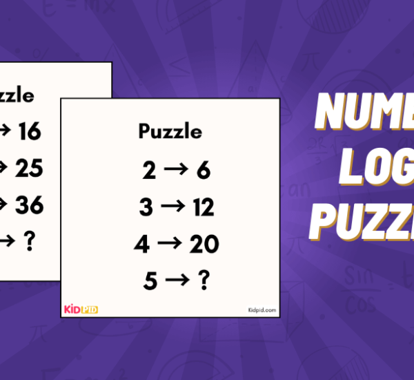 number logic puzzle