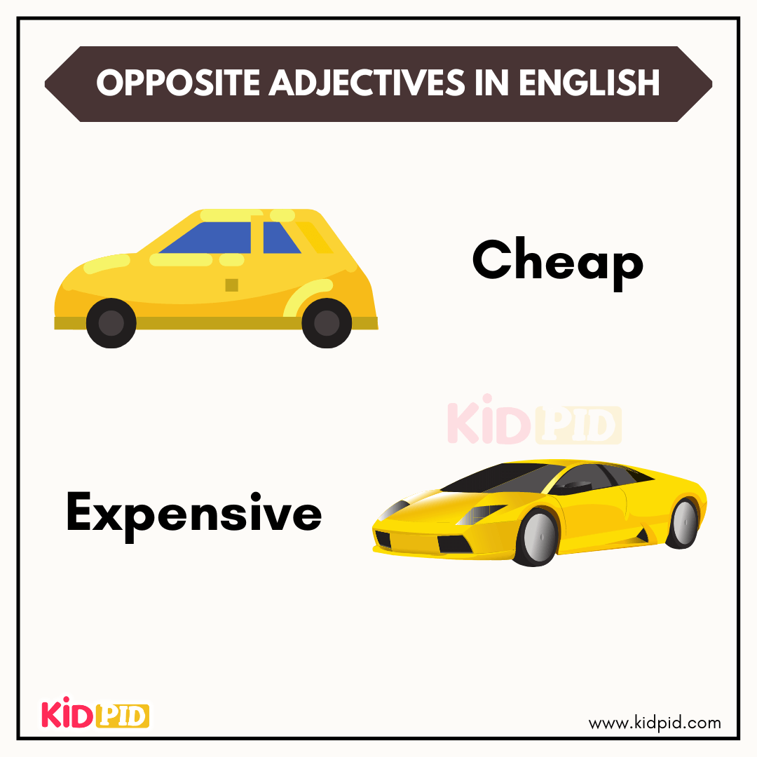 Opposite adjectives cheap and expensive with car images