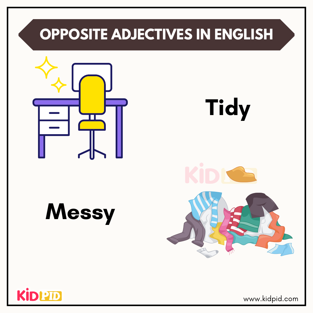 Tidy and messy opposite adjectives with home examples
