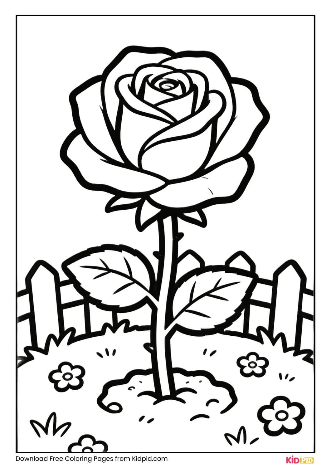 Garden rose black and white coloring page for Grade 1