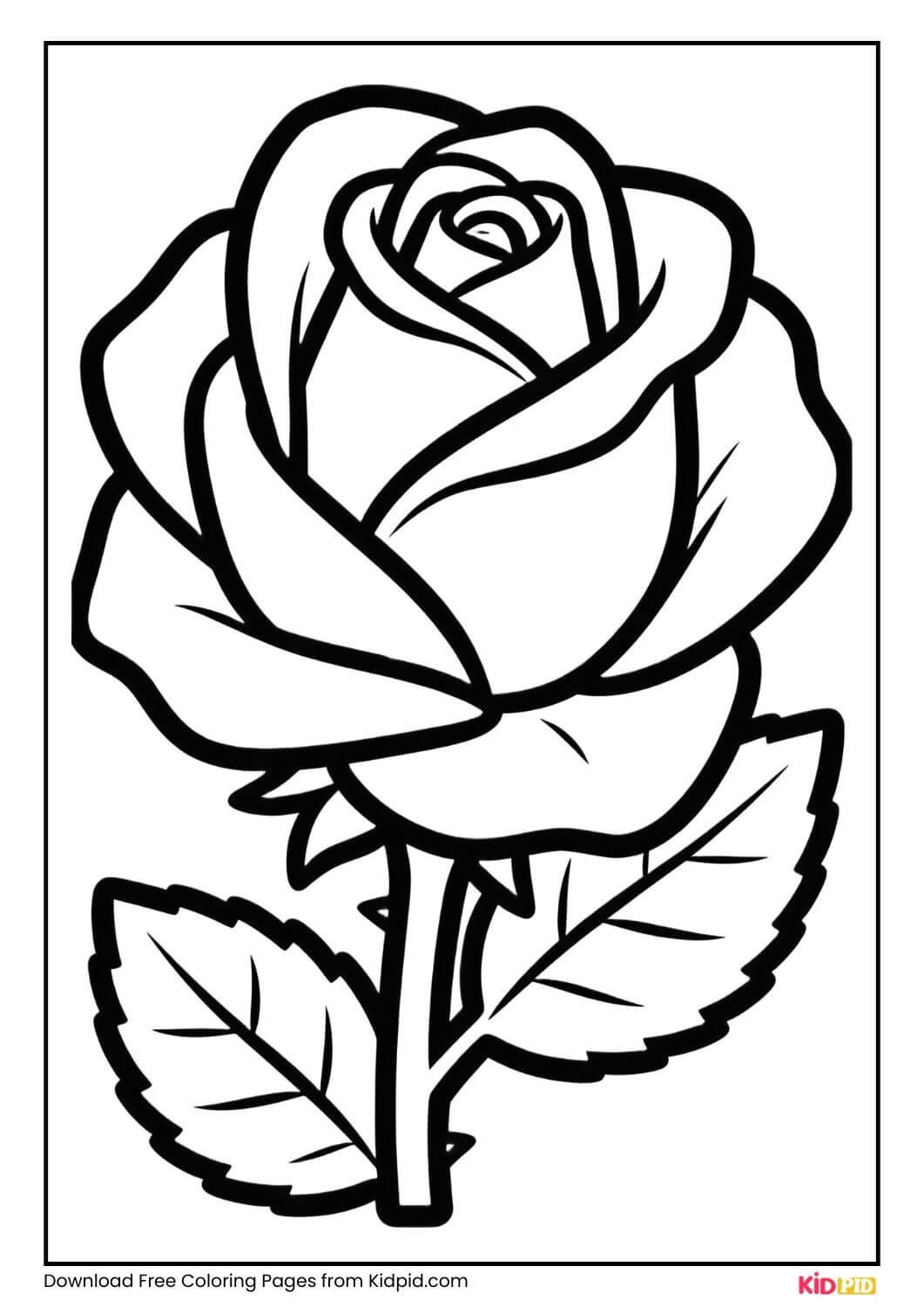 Rose bud blooming black and white coloring page for kids