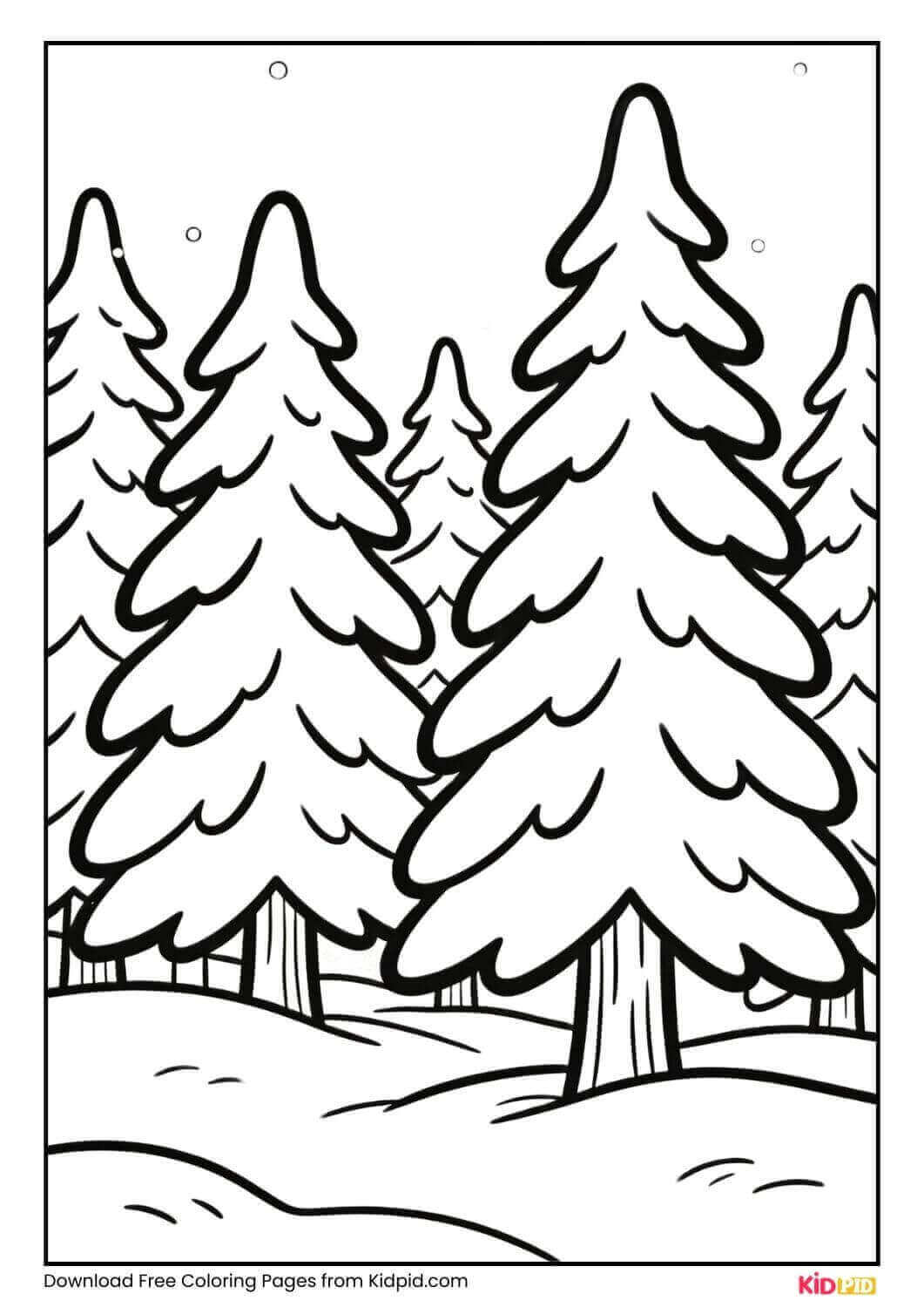 Snow-covered pine trees winter forest coloring page