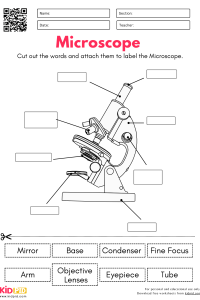 label-parts-of-microscope-science-worksheets-1