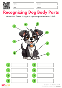 recognizing-dog-body-parts-worksheet-1